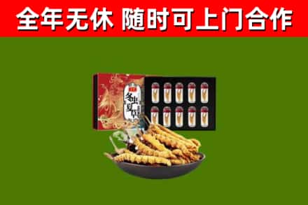 郸城县回收冬虫夏草价格